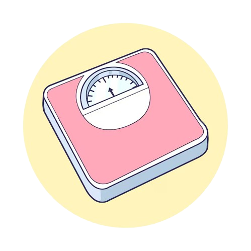 body measurements